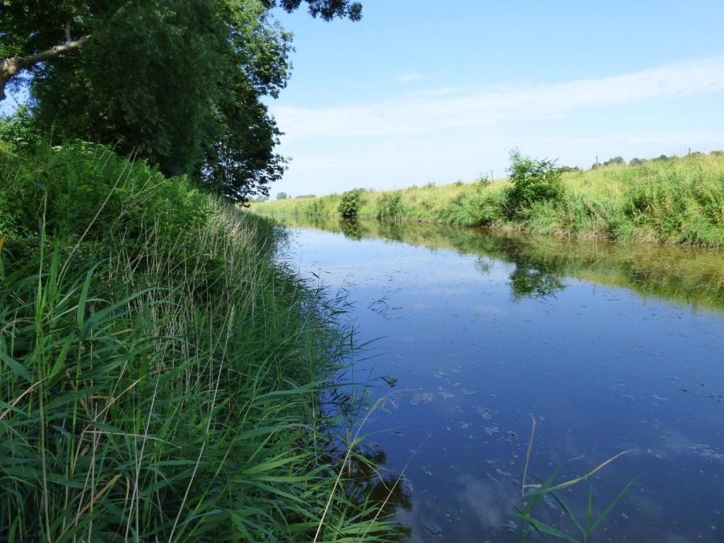 Wasserkoog 22 Tetenbull Esterno foto